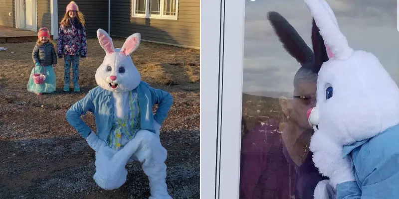 Easter Bunny Hops To It Brightening Smiles Across Capital City VOCM