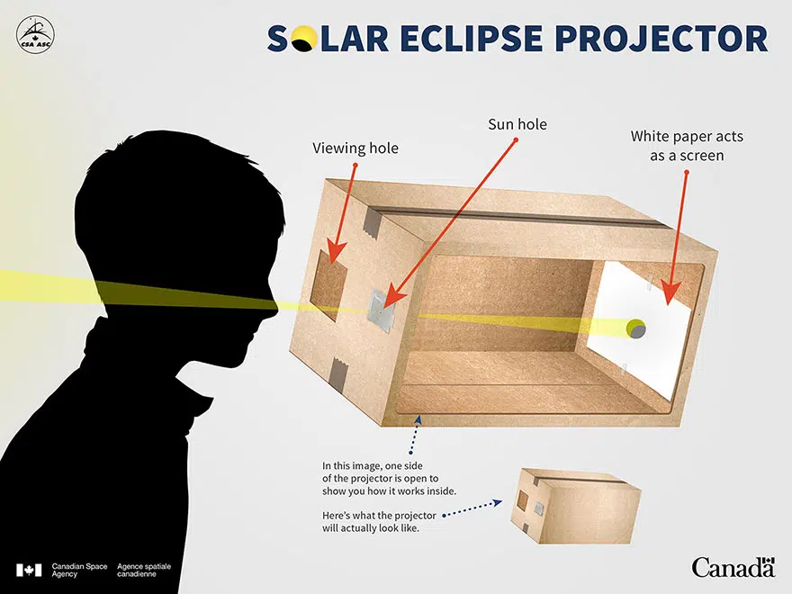 Build Your Own Solar Eclipse Projector