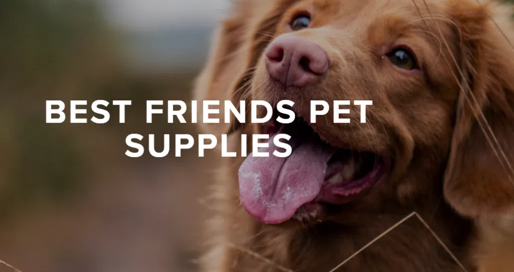 Best friends hot sale pet supplies