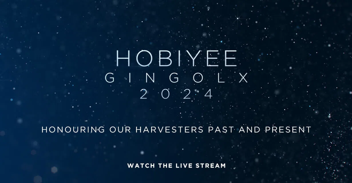 Hobiyee 2024 Gingolx, BC
