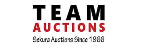 Team Auctions