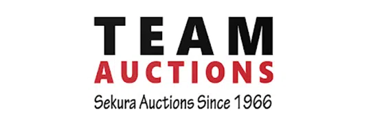 Team Auctions