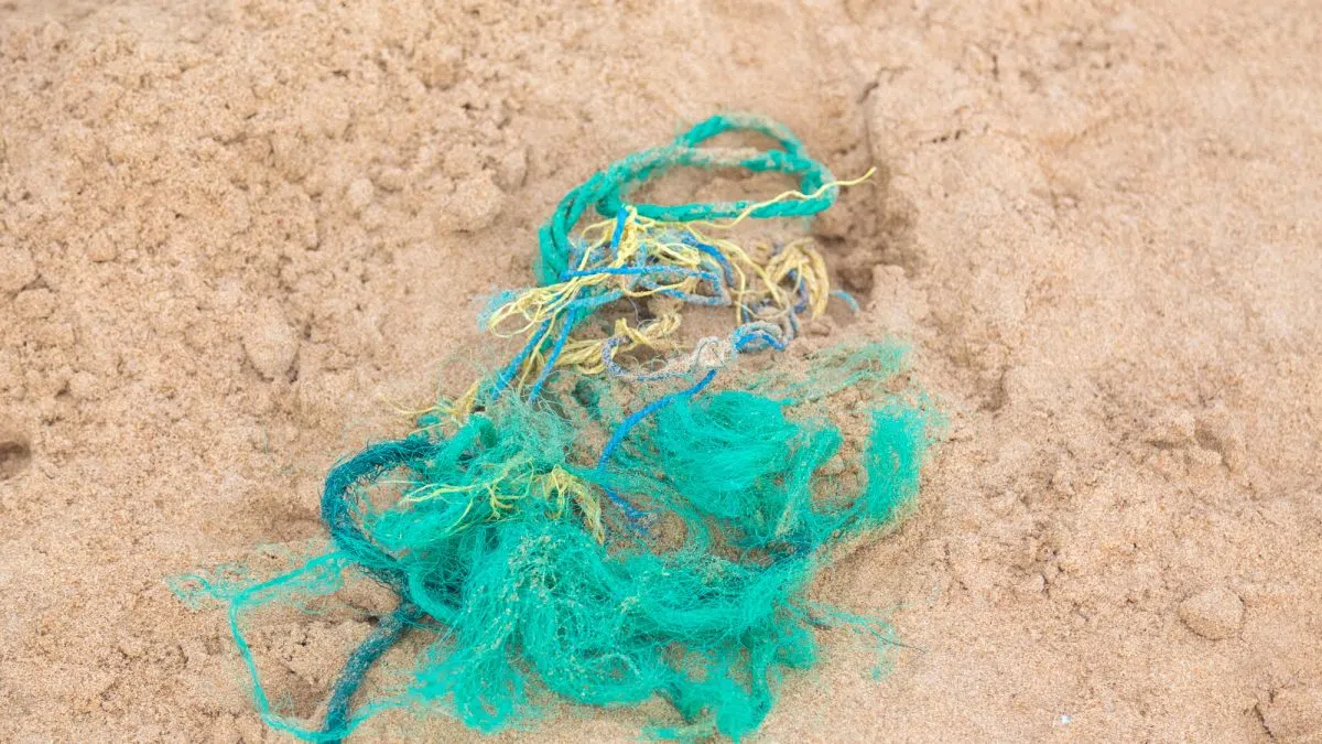 DFO's Ghost Gear Program launches new survey seeking to understand the reasons for aquaculture gear loss in British Columbia