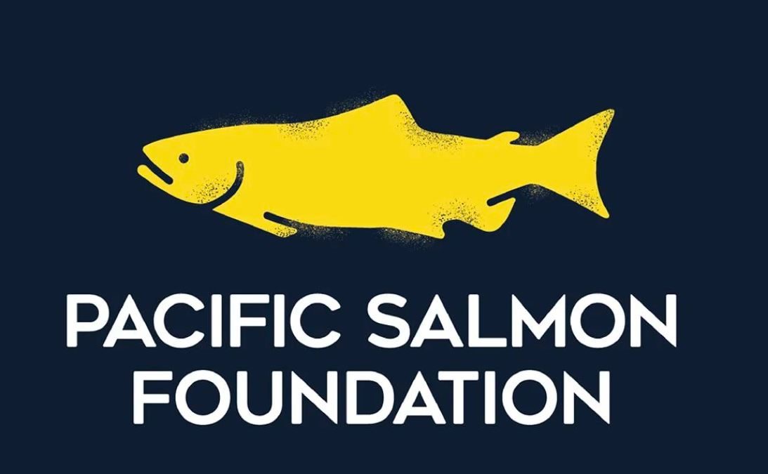 Over half of all Pacific salmon populations are declining, according to new report on the state of salmon spawning