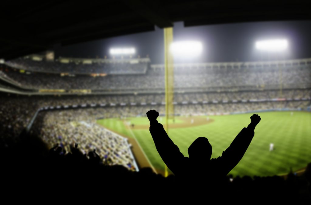 Baseball Excitement