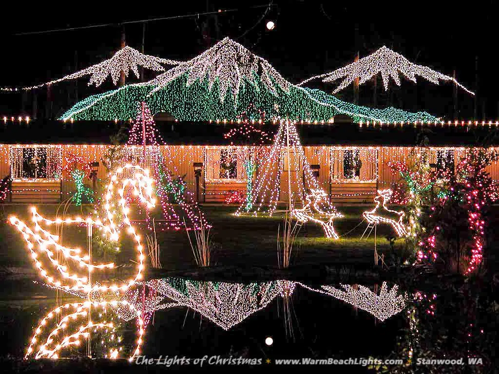 Warm beach lights of christmas cheap