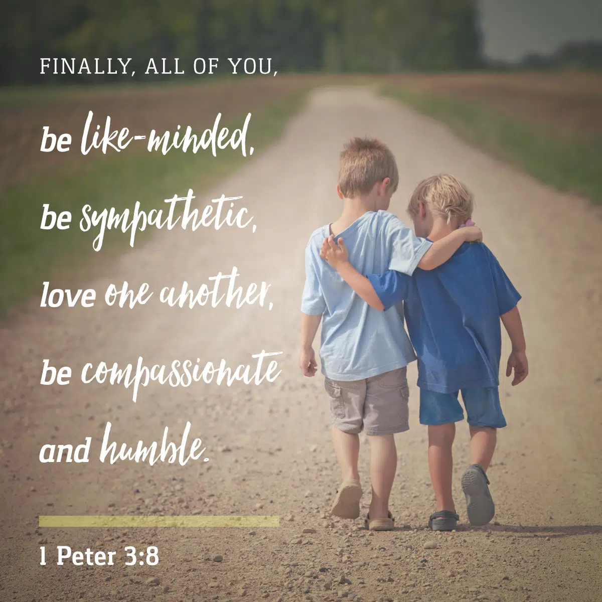 1 Peter 3 8 Daily Verse KCIS 630