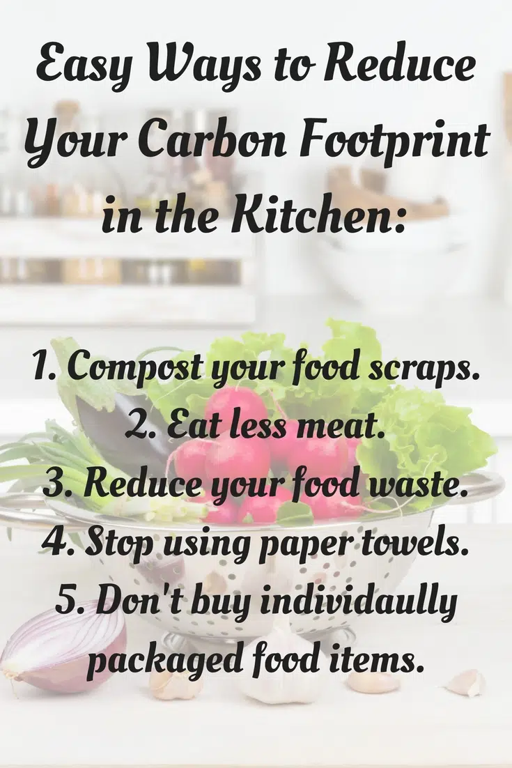 Simple Earth Day Ideas - Things you can implement in your home to help the planet. #earthday #foodwaste