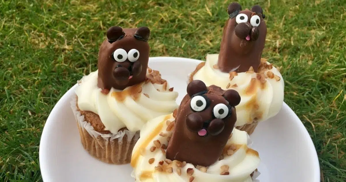 Groundhog Day Cupcakes | HI COOKERY