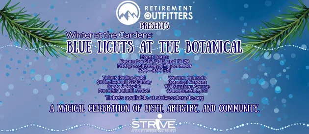 Feature: https://strivecolorado.org/winter-at-the-gardens-blue-lights-at-the-botanical/