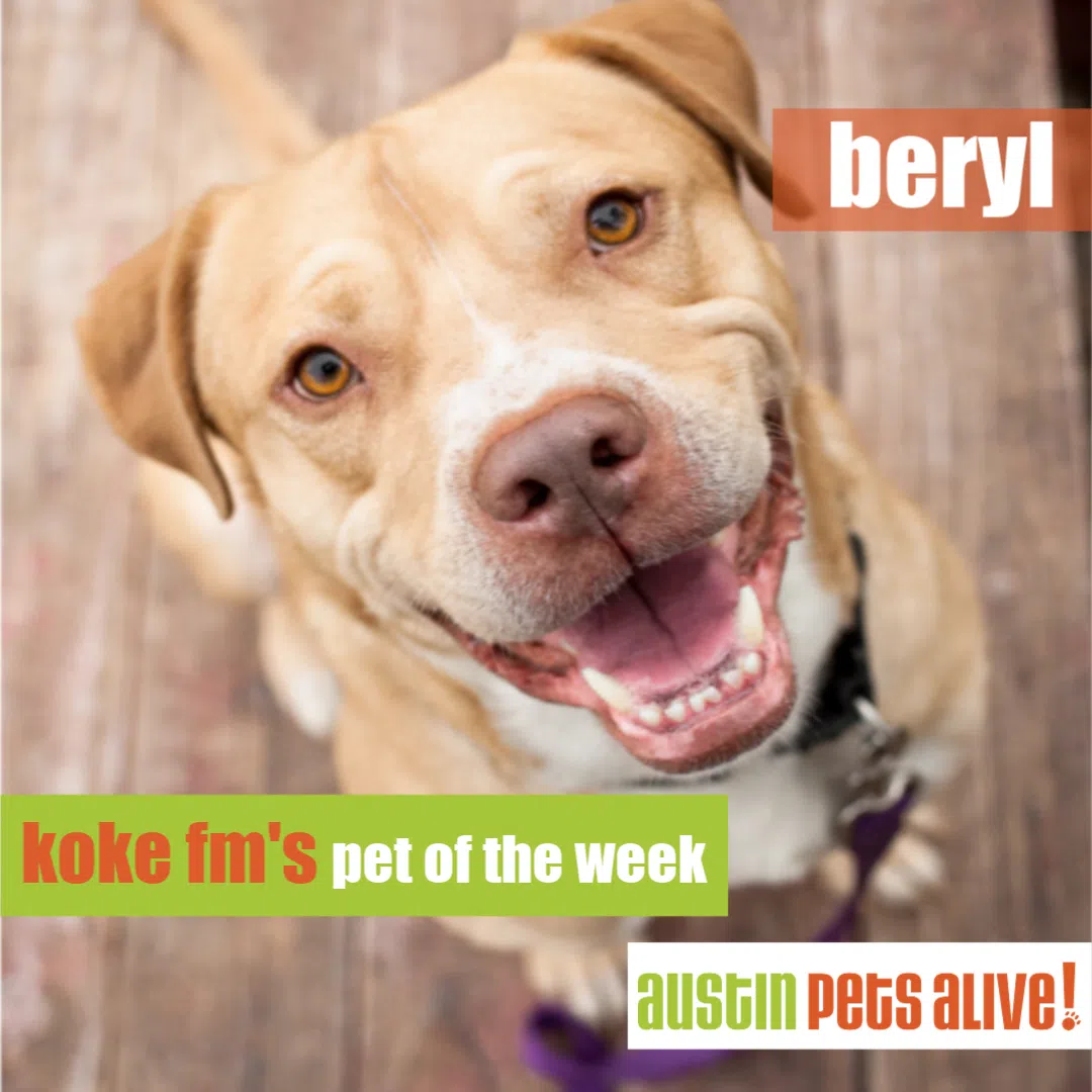 Pet of The Week: Beryl 