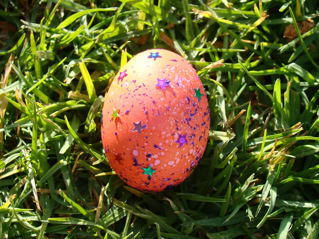 Check Out Some Of The Austin Area Easter Egg Hunts & Events