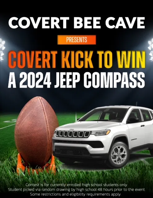 Covert Bee Cave Kick to Win