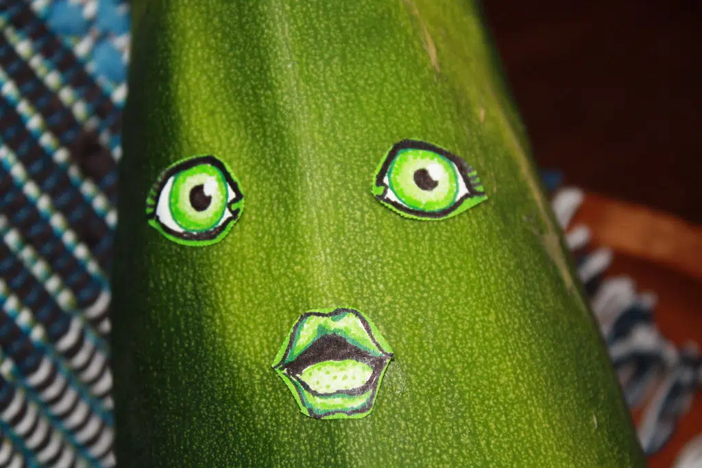 Man Squashes World Record With His HUGE Zucchini [PIC] 105.7 WAPL