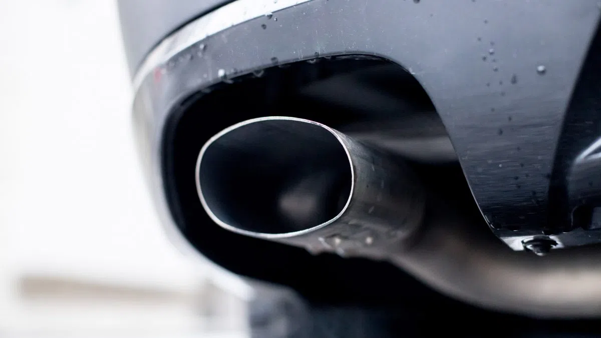 Laura Lee & Cutter Weenies of The Week The Rice Lake Backfire [AUDIO