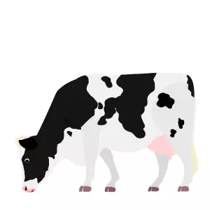 Check back daily and click on this cow for your chance to win a 1/4 of a cow!