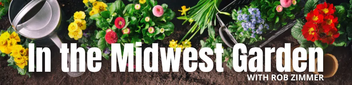 In the Midwest Garden with Rob Zimmer