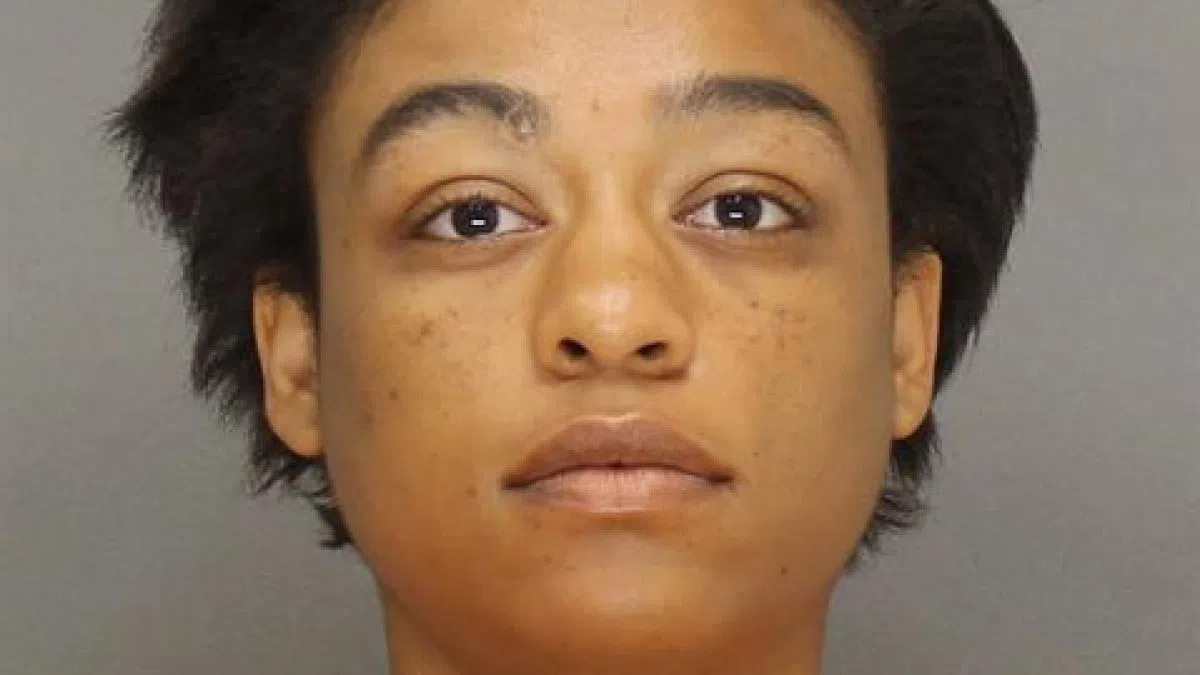 Woman accused of trying to kill stranger outside motel | The Score