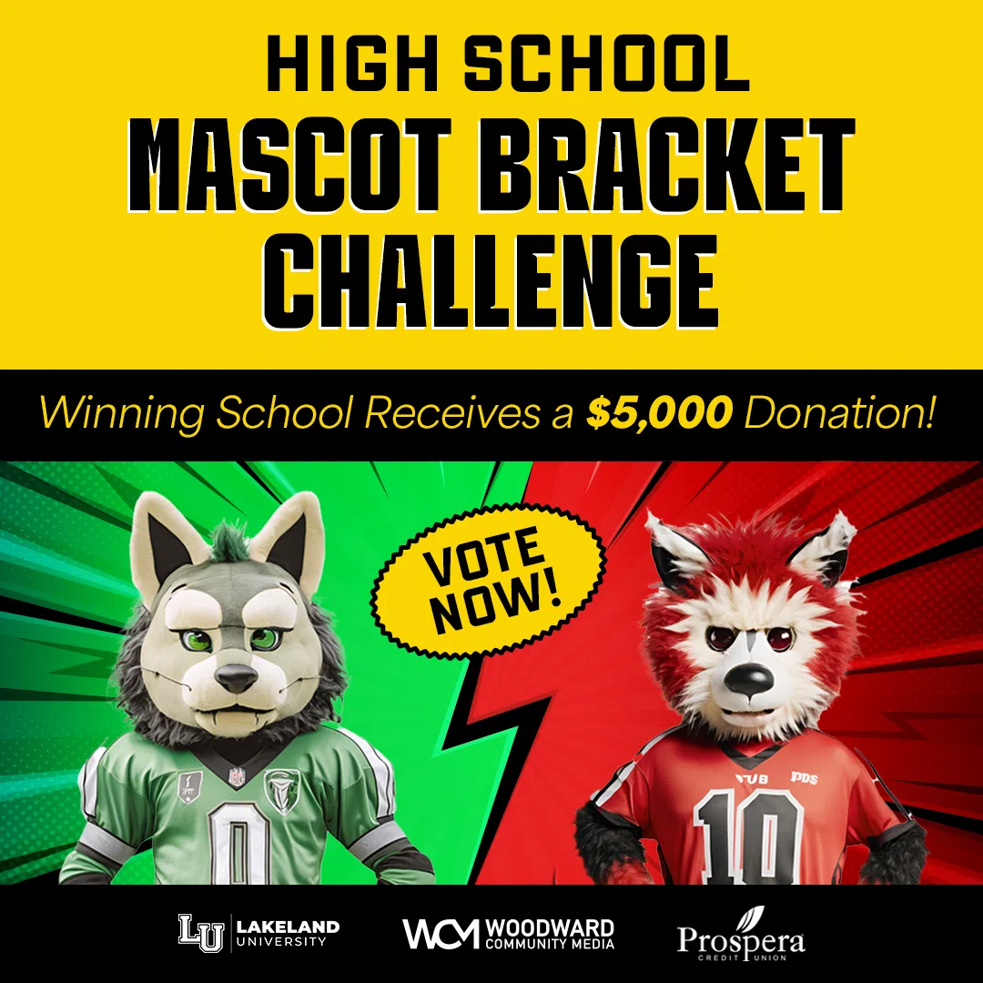 Feature: https://www.whby.com/high-school-mascot-bracket-challenge/