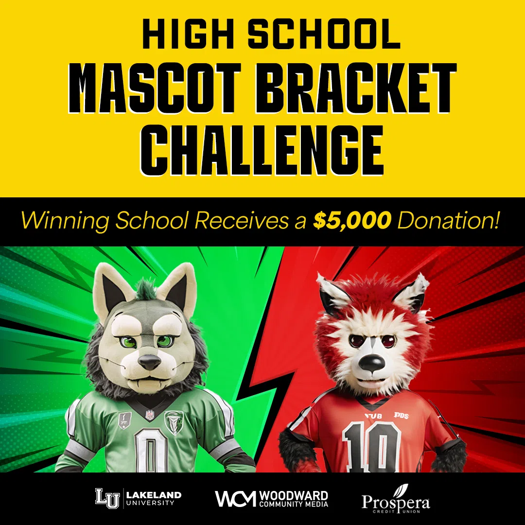 Feature: https://www.whby.com/high-school-mascot-bracket-challenge/