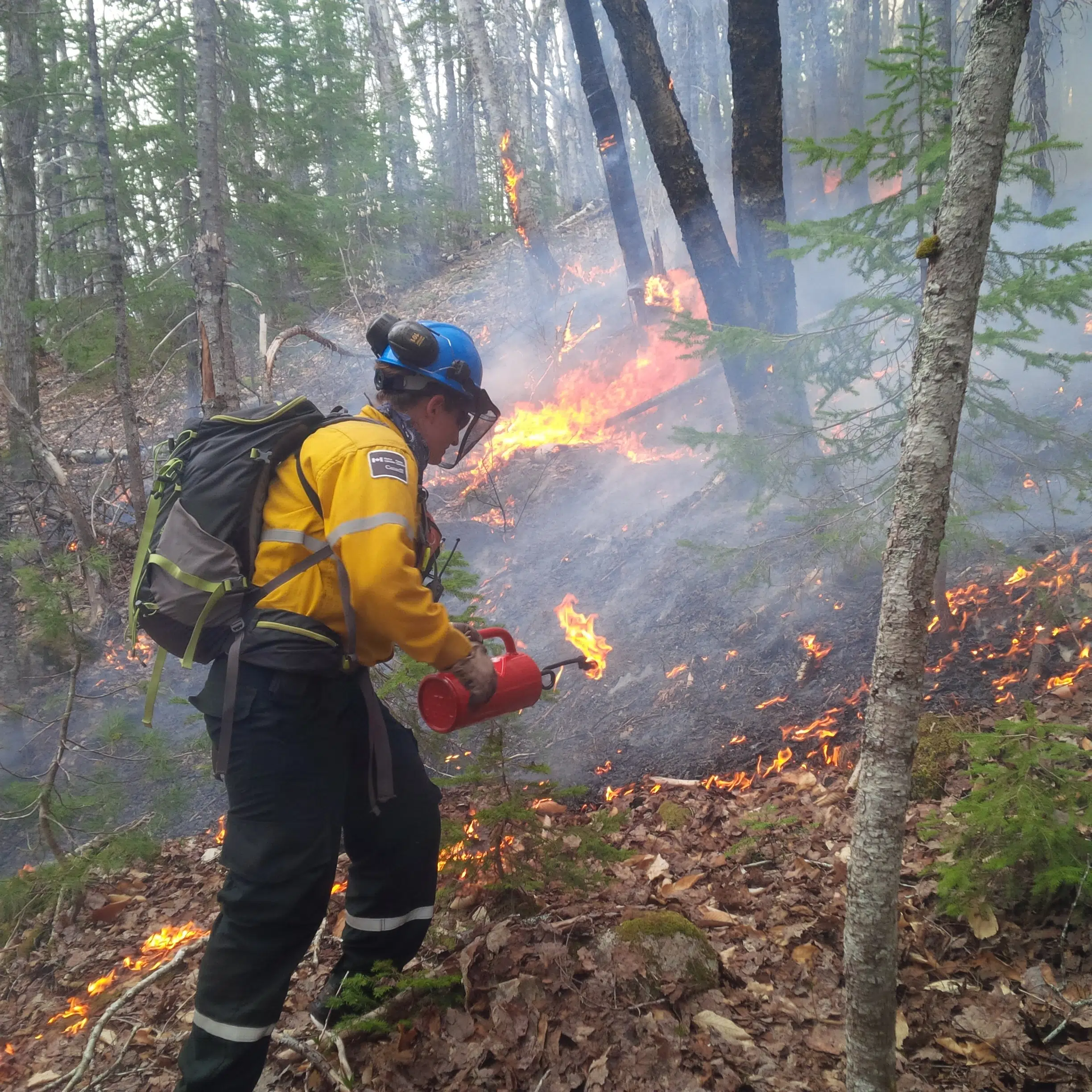 Parks Canada officials plan prescribed fire in Cape Breton Highlands National Park