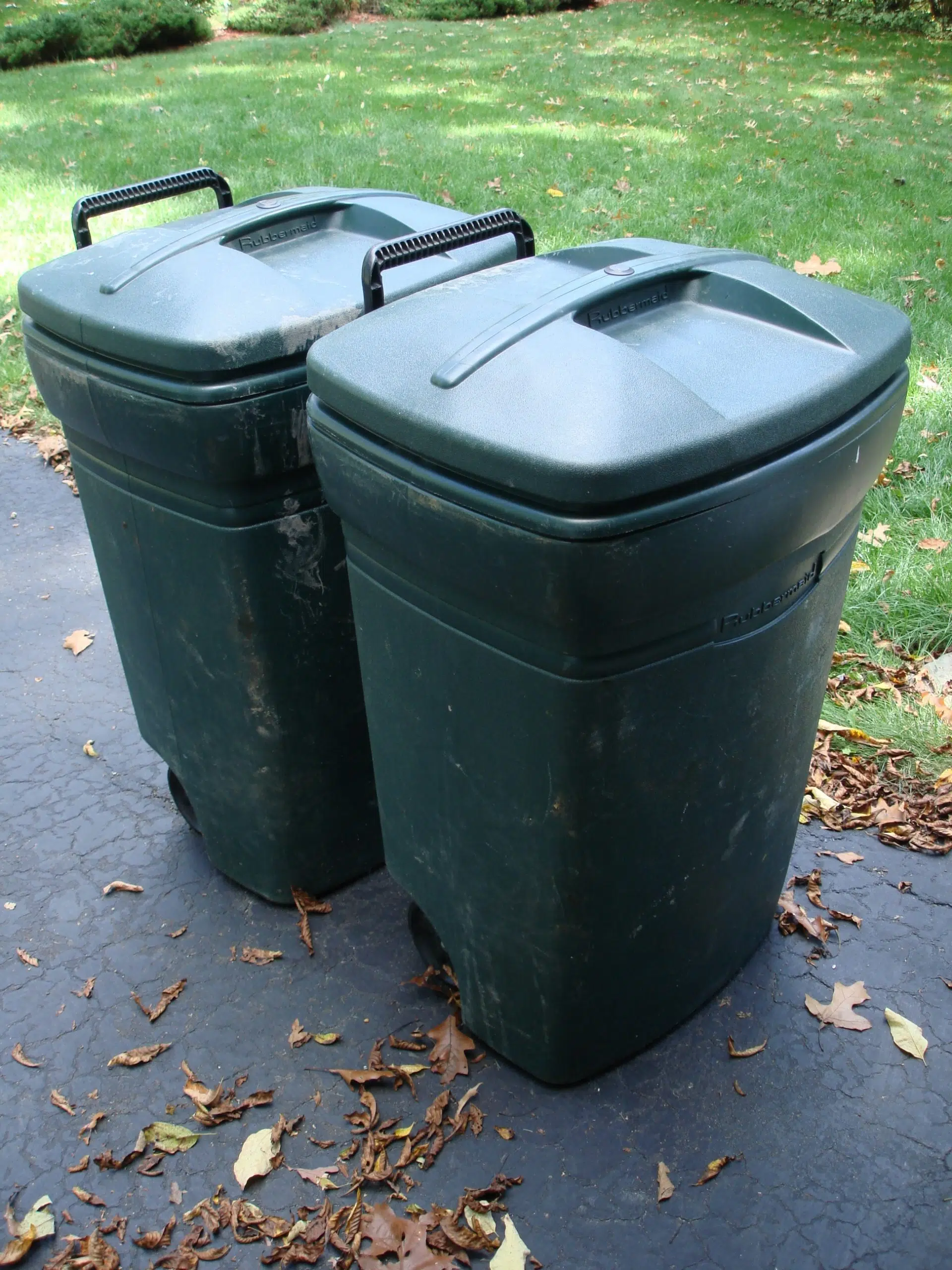 Green bins will soon be in Port Hawkesbury