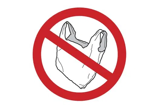 Town staff members reviewing single-use plastic bags