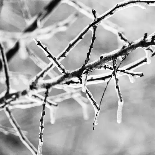 What the Almanac Says About Winter in Nova Scotia