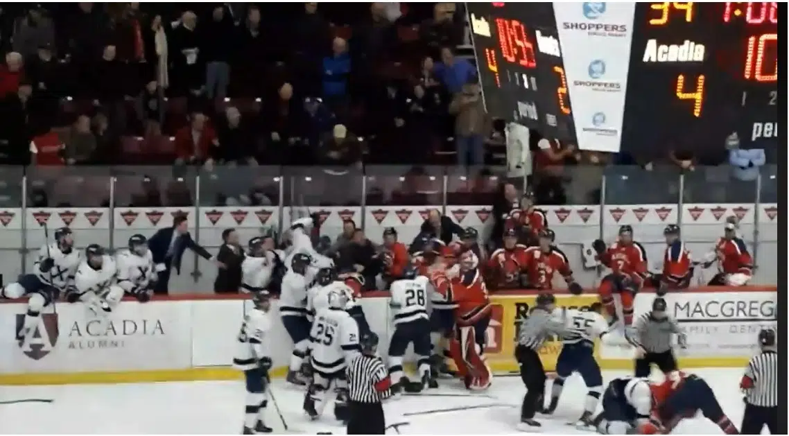 More suspensions after StFX/Acadia brawl