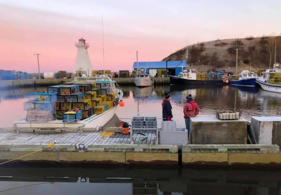 Local seafood processor gets half a million federal dollars