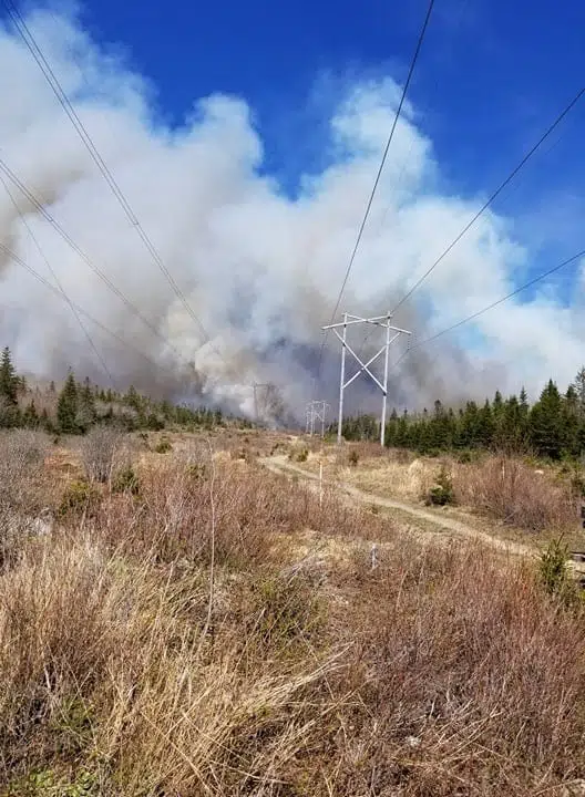 Update: Local forest fire now 100 per cent contained