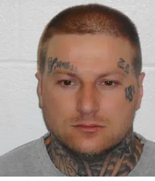 Alert issued in Pictou Co. search
