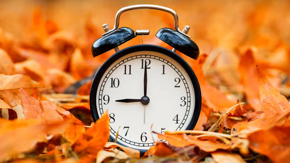 Clocks fall back