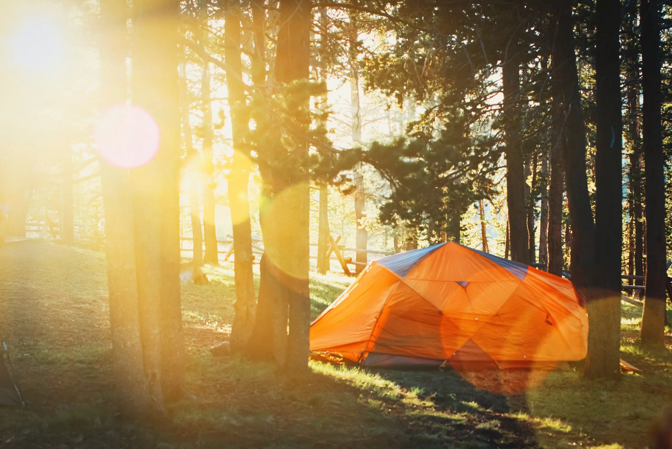 Book a Provincial campsite starting today!