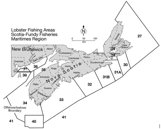 Lobster season delayed in parts of Quad Counties