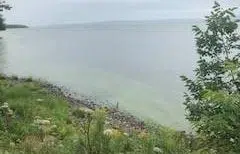 Local lake closed by Blue-Green Algae