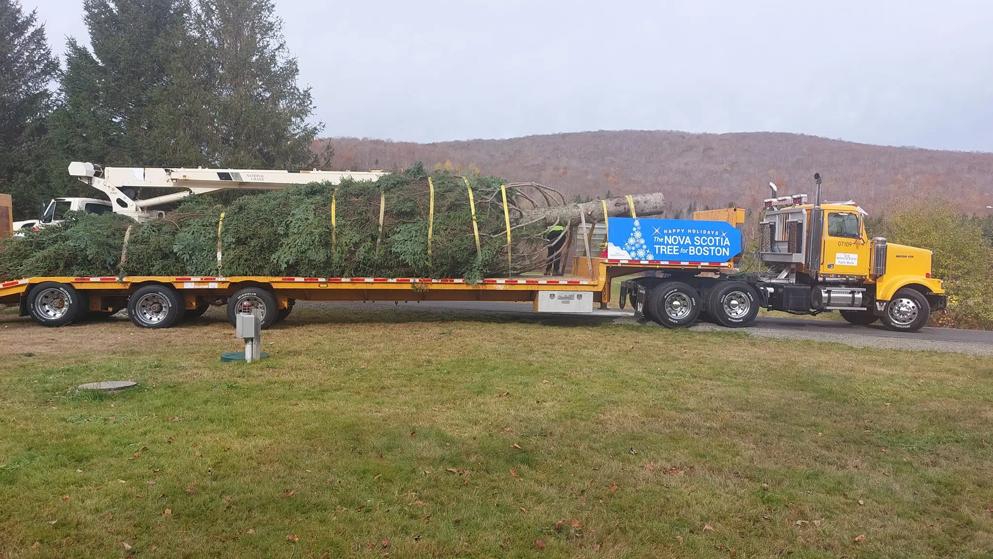 Tree for Boston on its way!