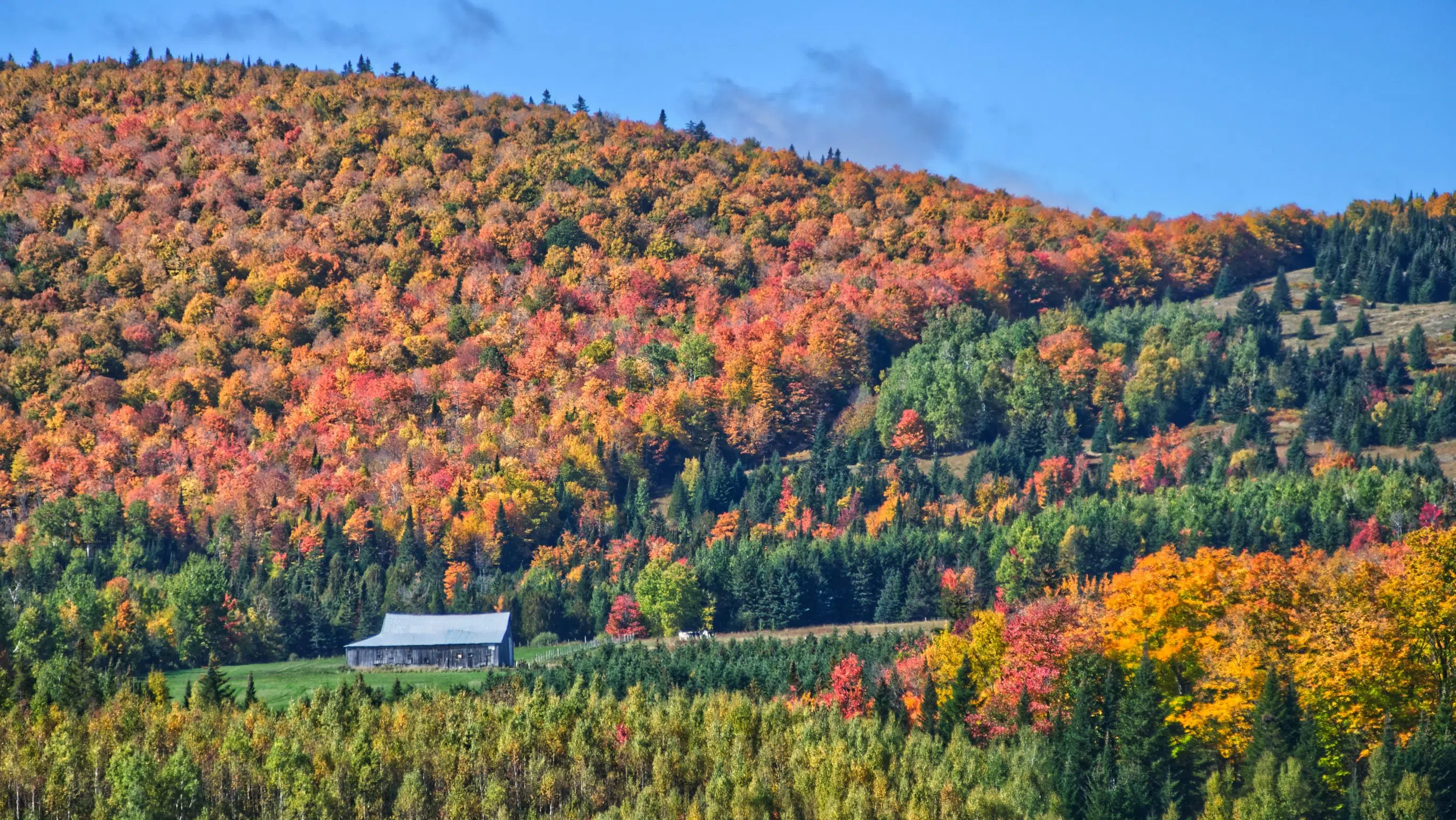The best time to see the fall leaves in Cape Breton