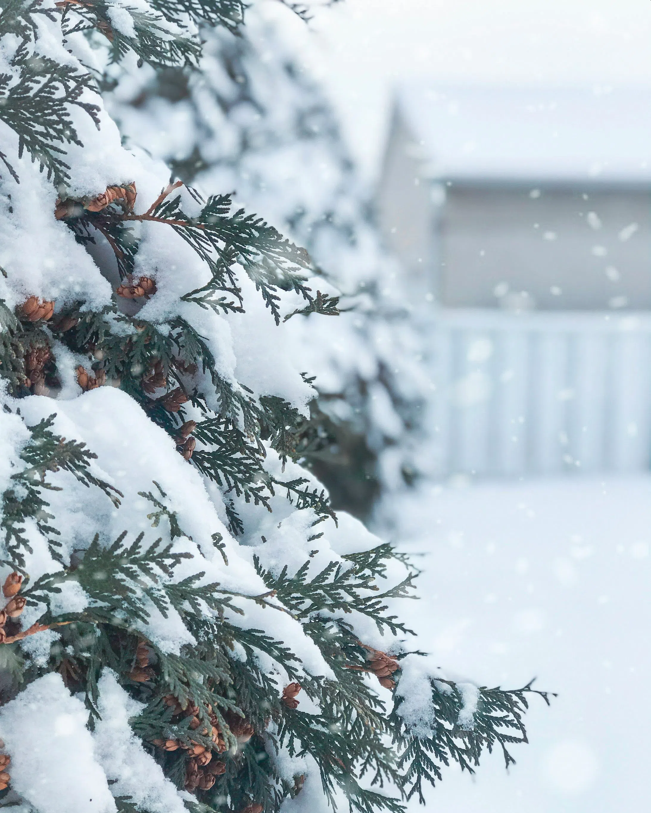 Dreaming Of A White Christmas? Here's What The Old Farmer's Almanac Says About Our Area!