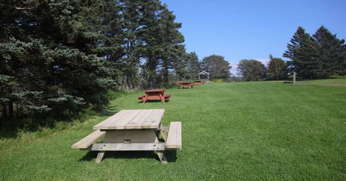 15 new Provincial Parks announced in Nova Scotia (8 in the Quads!) + the expansion of 2 others
