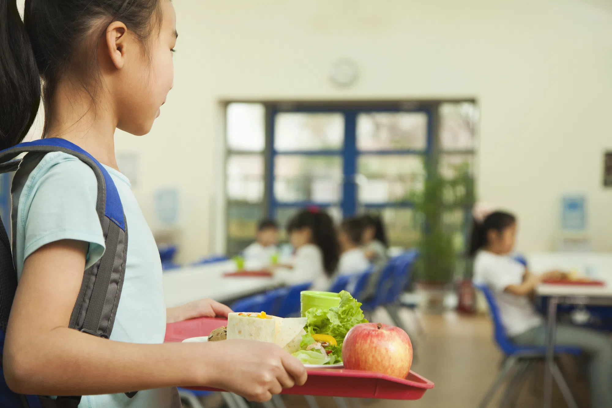 "Pay what you can" lunch program to launch in schools next month