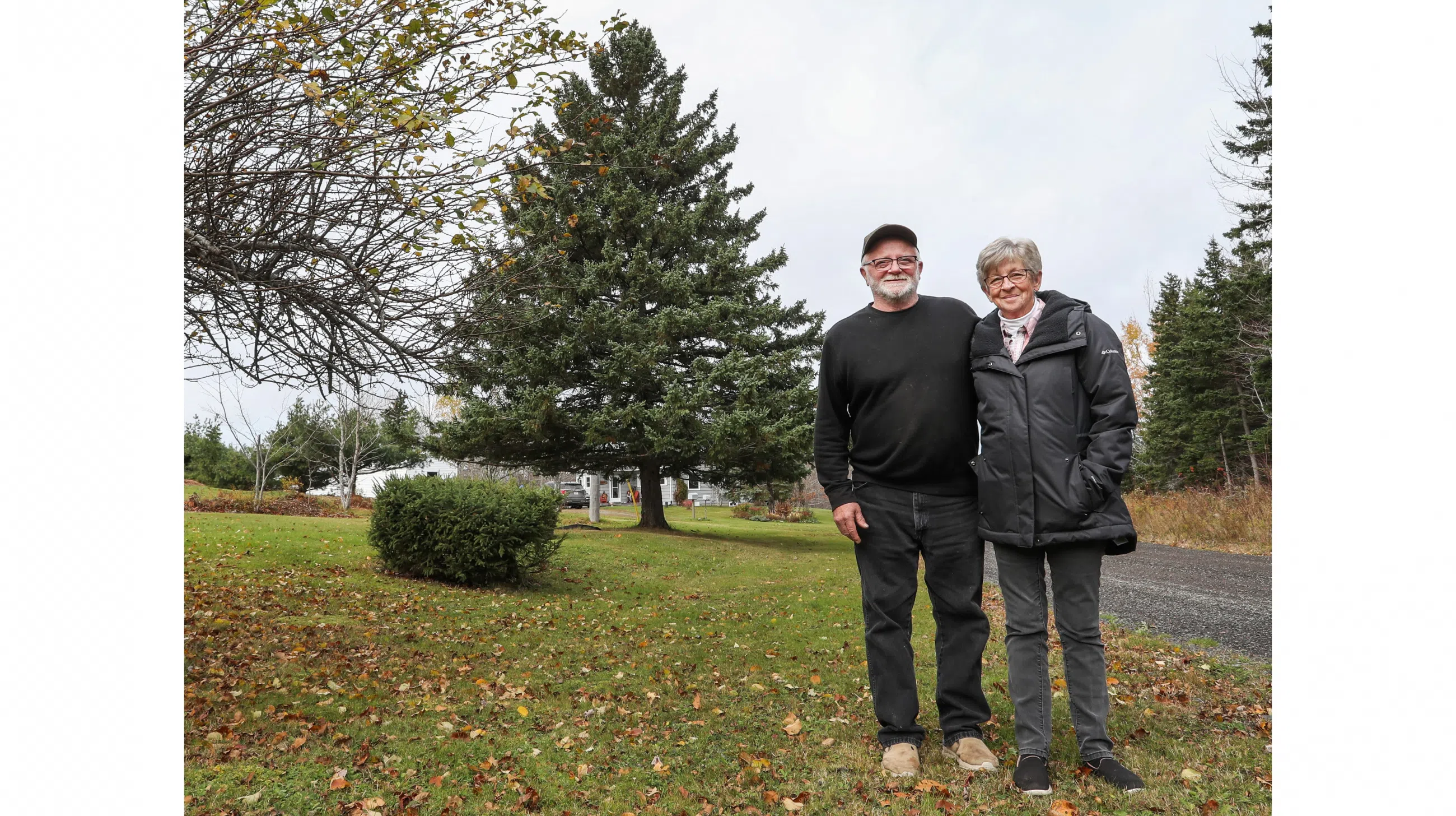 Check Out The New Boston Christmas Tree And Where It's From!