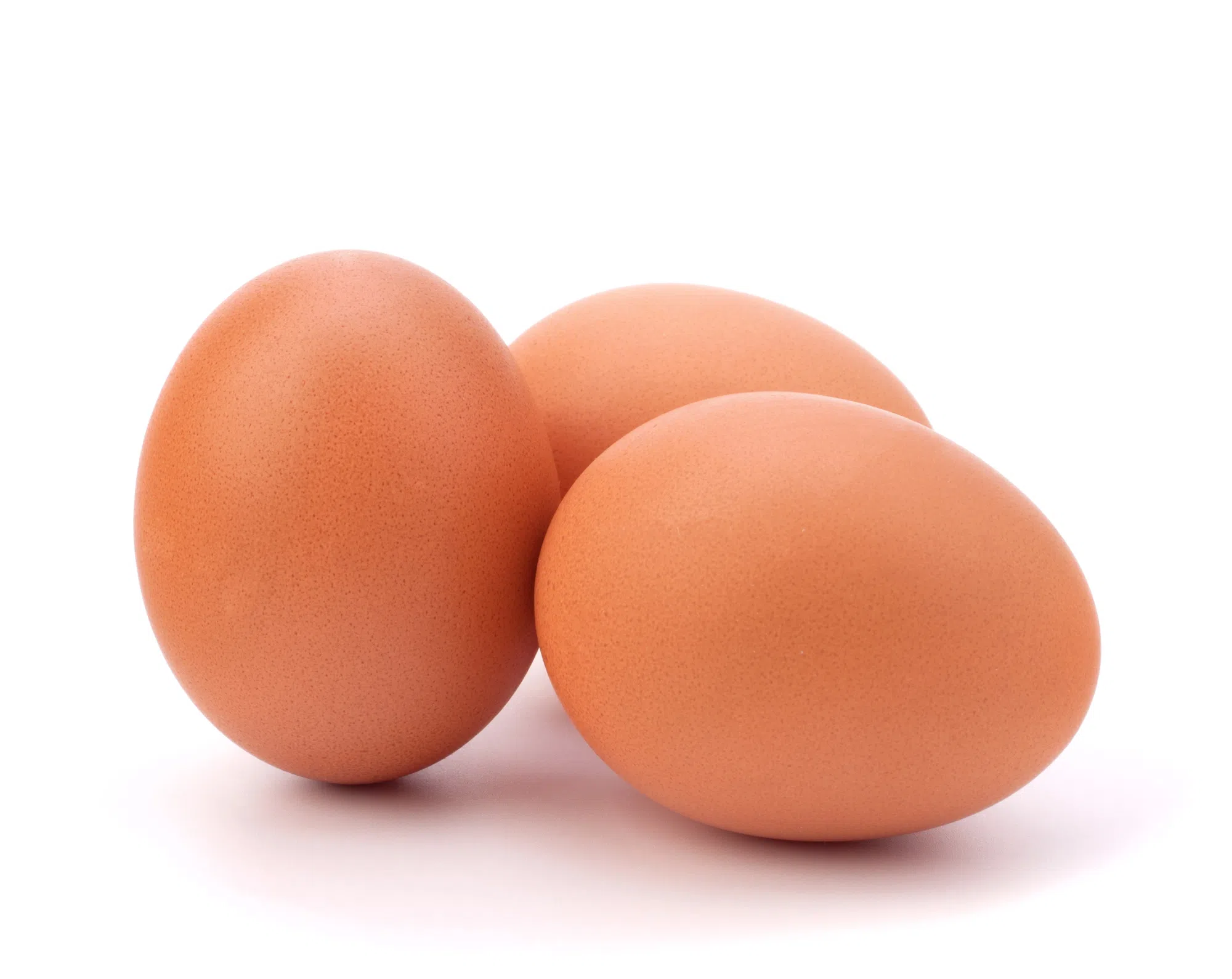 Eggs recalled due to Salmonella