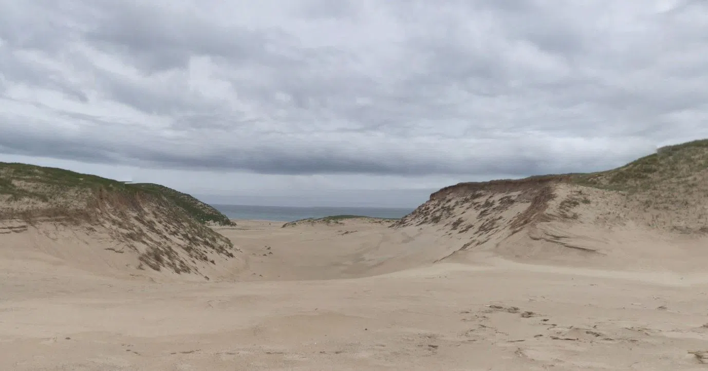 Are you an artist? Would you like to spend 2 weeks on Sable Island?