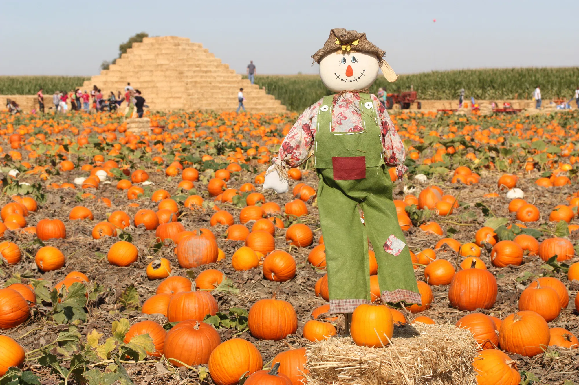 These Scarecrows Are Right Out Of A 90s Movie!