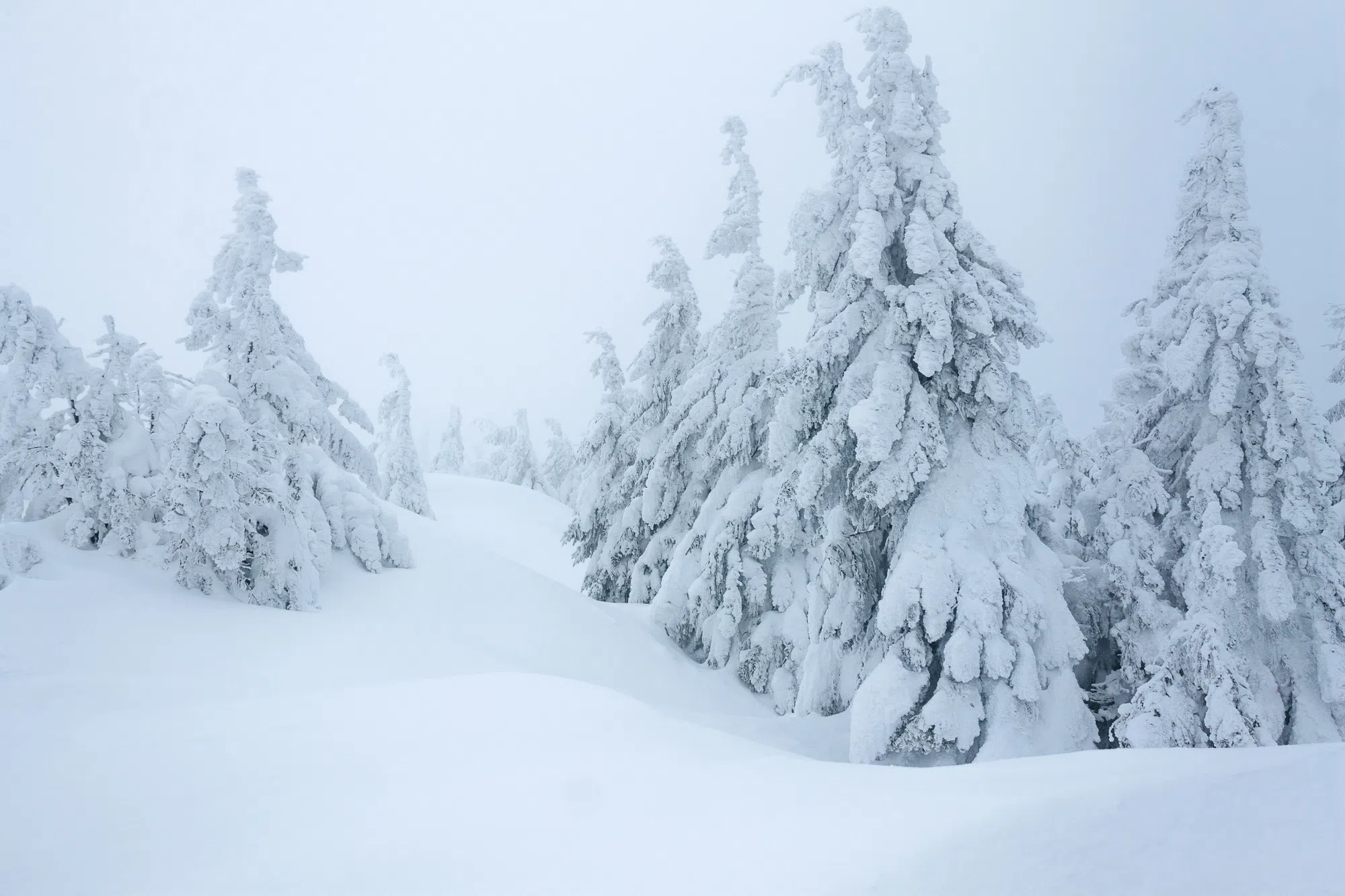 How "Thundersnow" Works