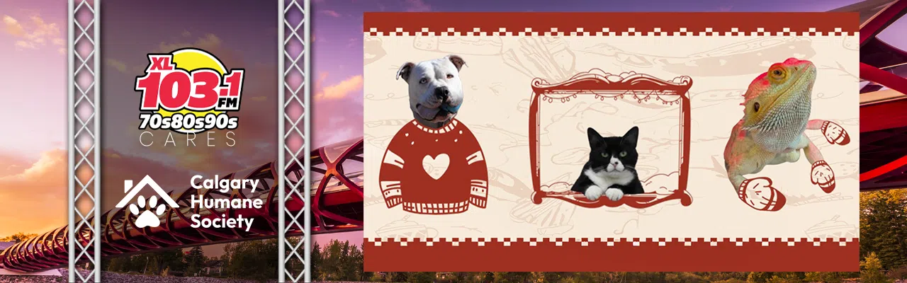 Calgary Humane Society