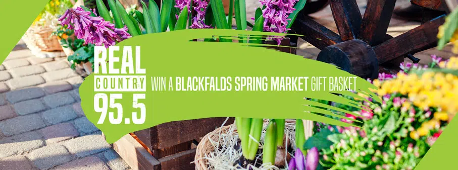 Little of This Spring Market Gift Basket Giveaway
