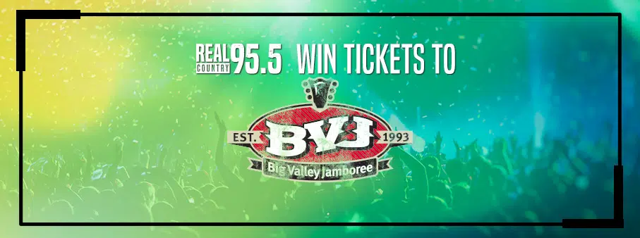 Win Your Way into BVJ!