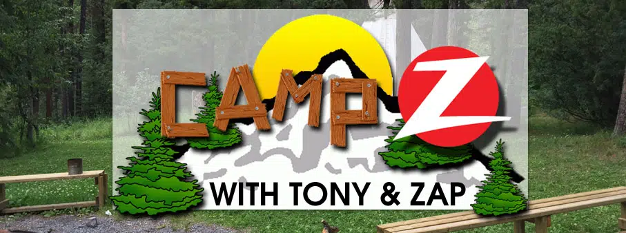 Camp Zed